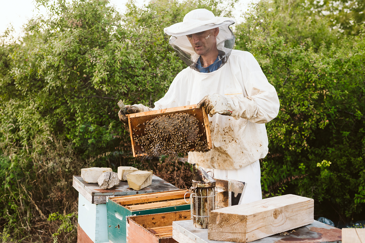wetter-imker-bienen-april-blog-bienenzucht-profi