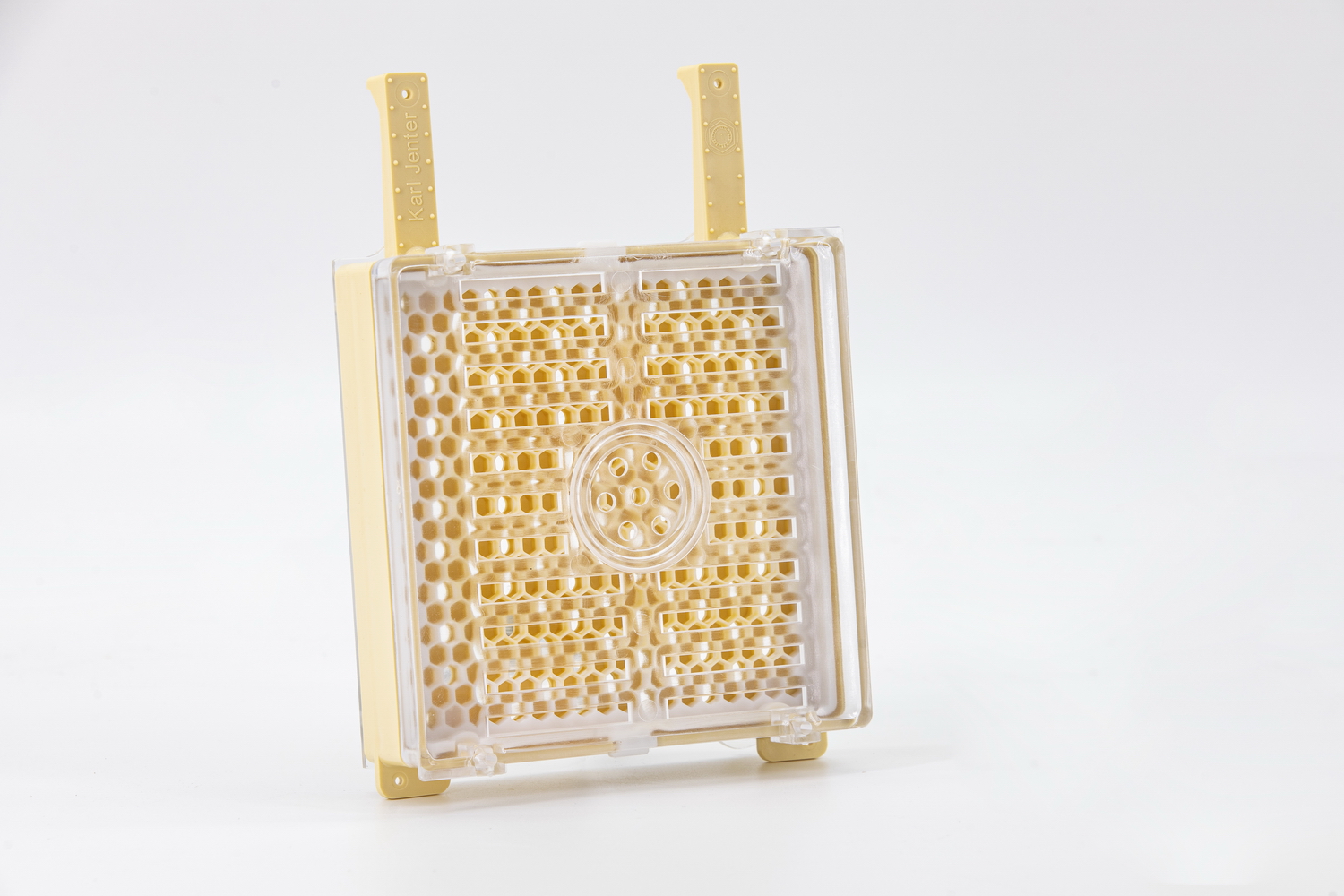 Jenter Zuchtkassette, solo