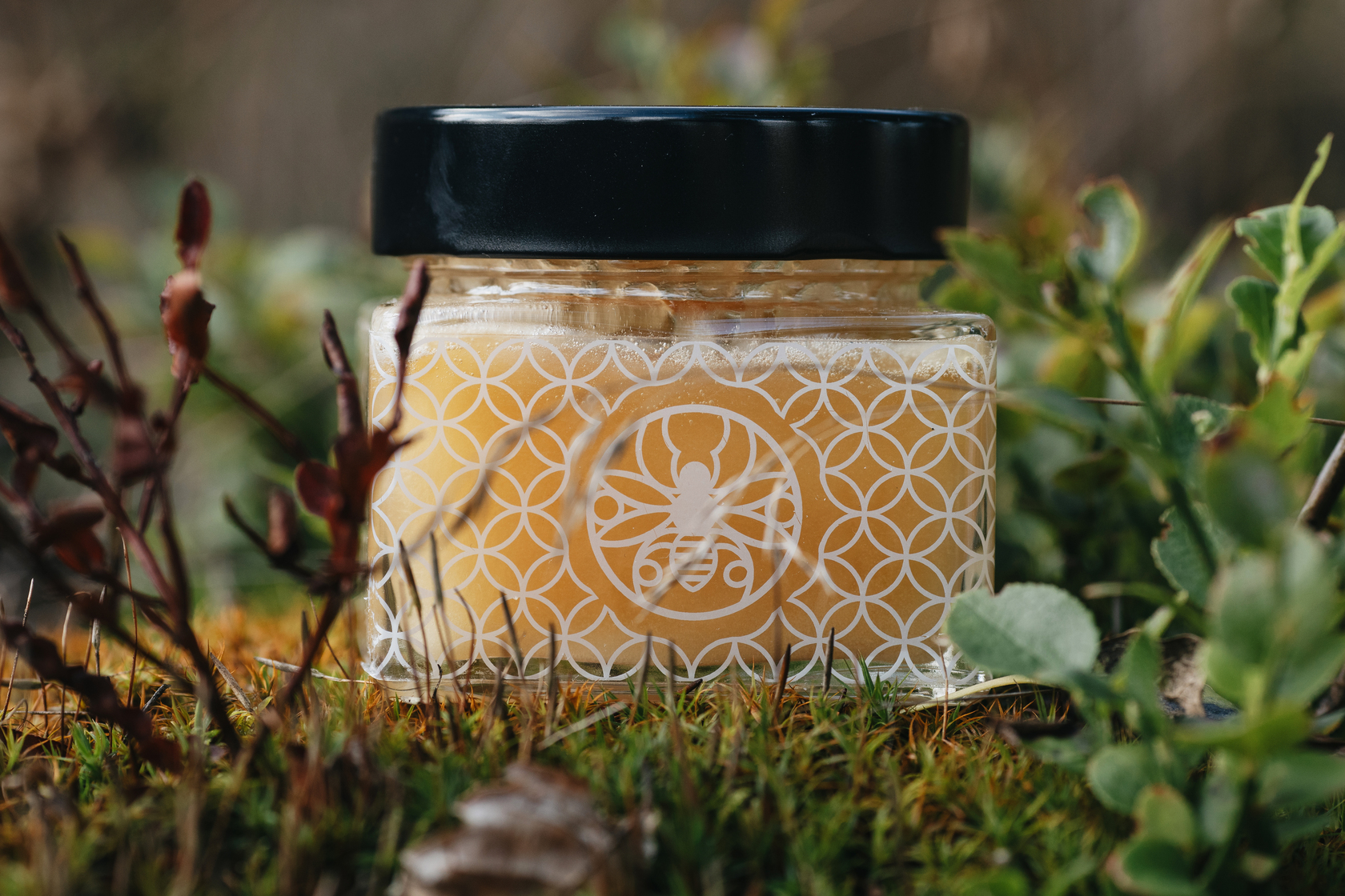 Miel de lavande bio 250g