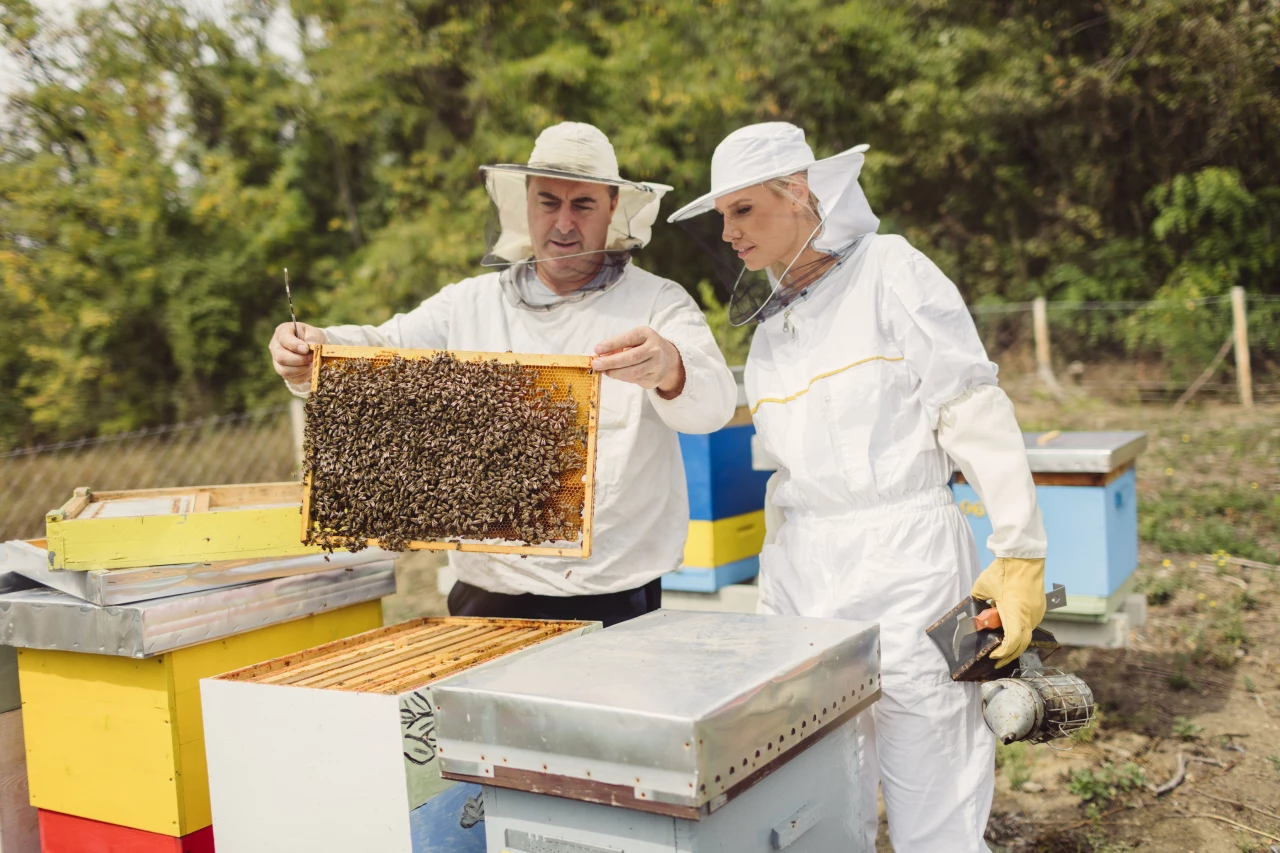 Imker mit Frau