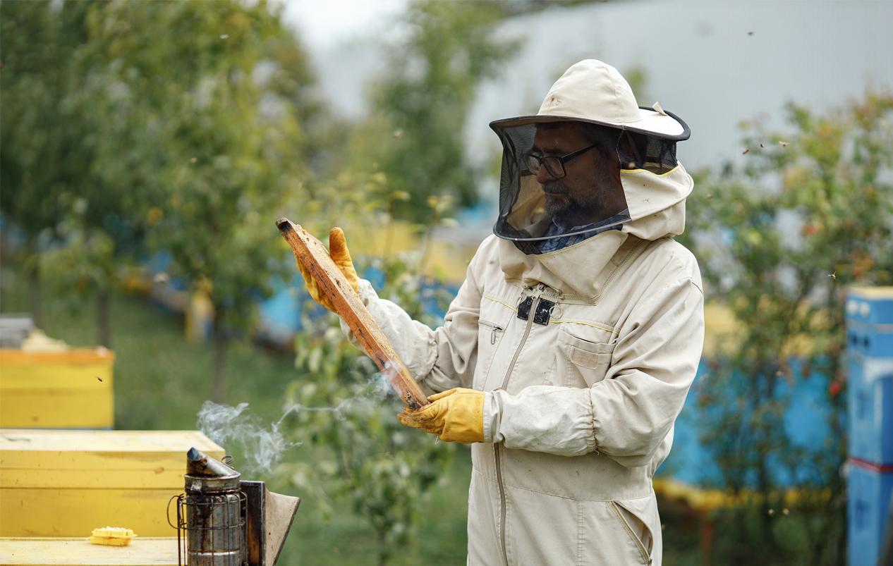 bienenzucht-profi-bzp-imker-blog-varroamilbe-gefahr-bienenvolk