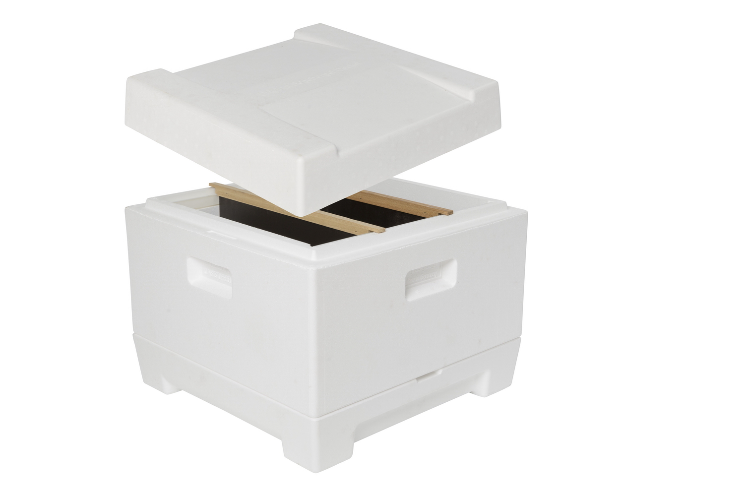 Segeberger scion box