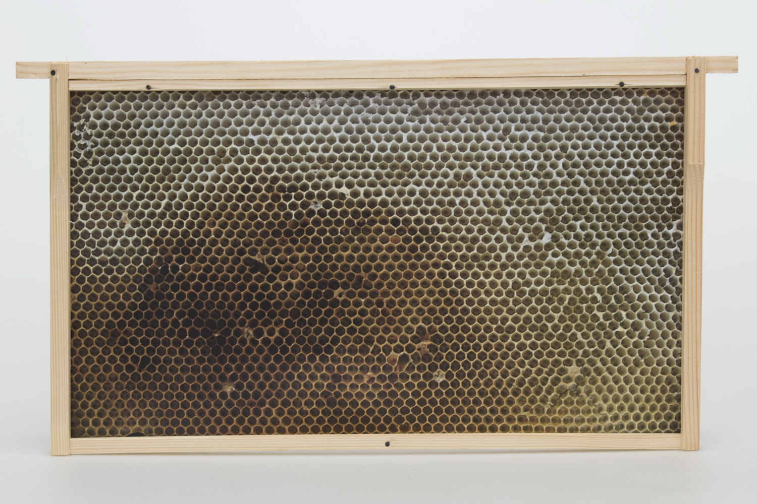 Virtuelles Bienenvolk Normalmaß