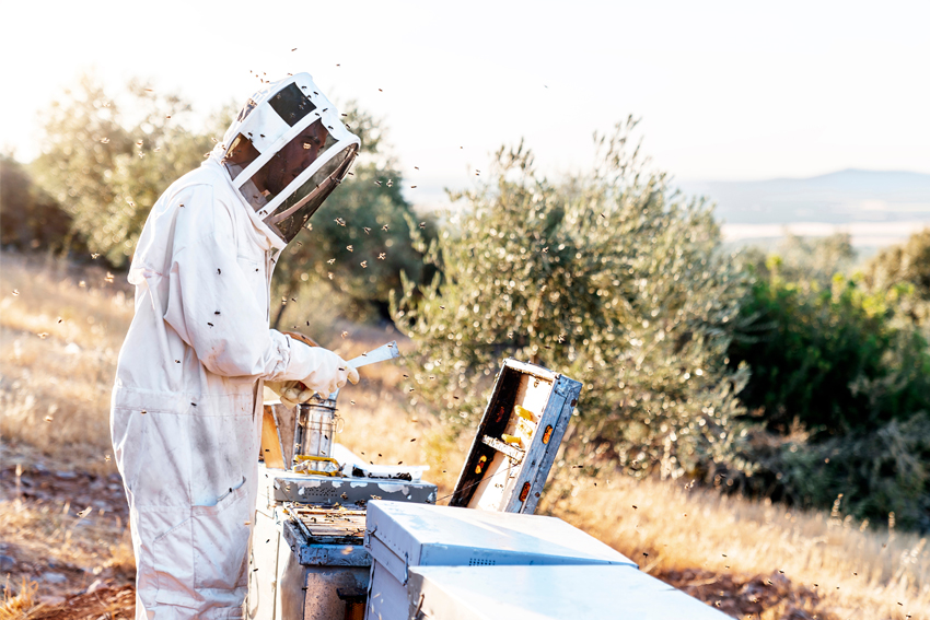 imkern-im-verein-versicherung-wissensaustausch