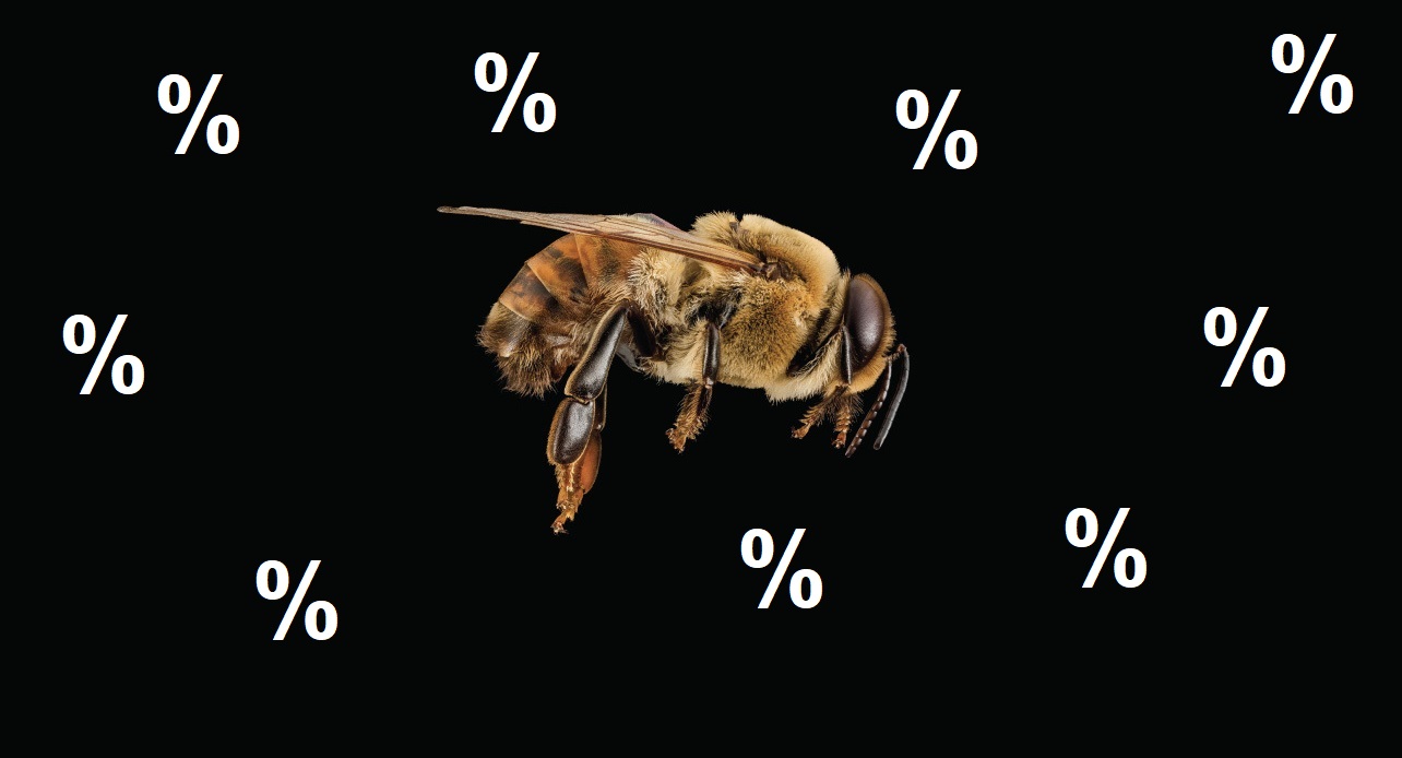 Biene Seitenansicht Black Week