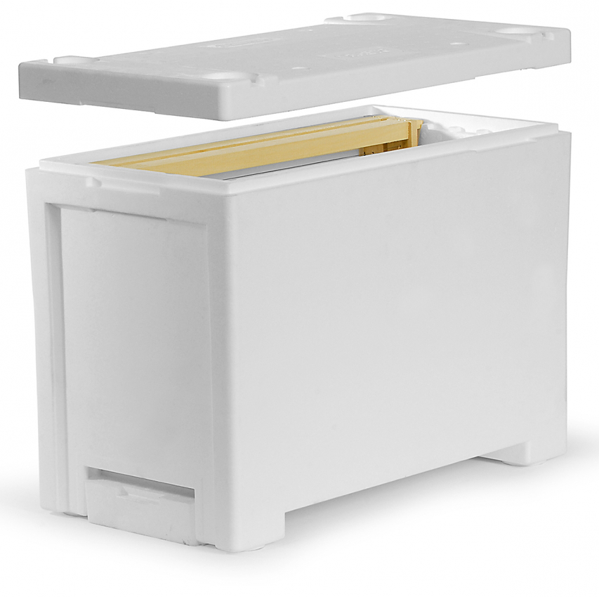 Ablegerkasten 2010 S 6 W Dadant US mit Zackenleiste