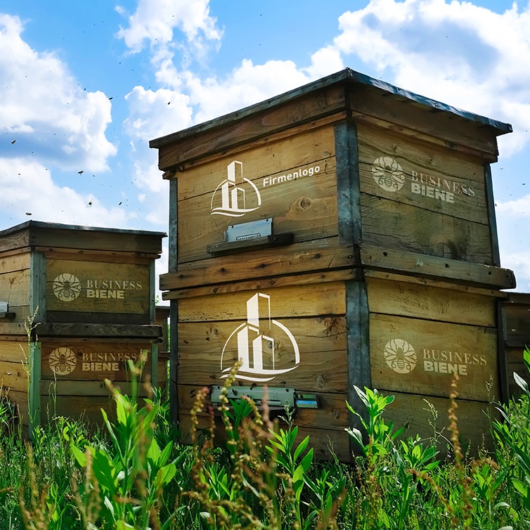 Bienen mieten - Bienenbeute