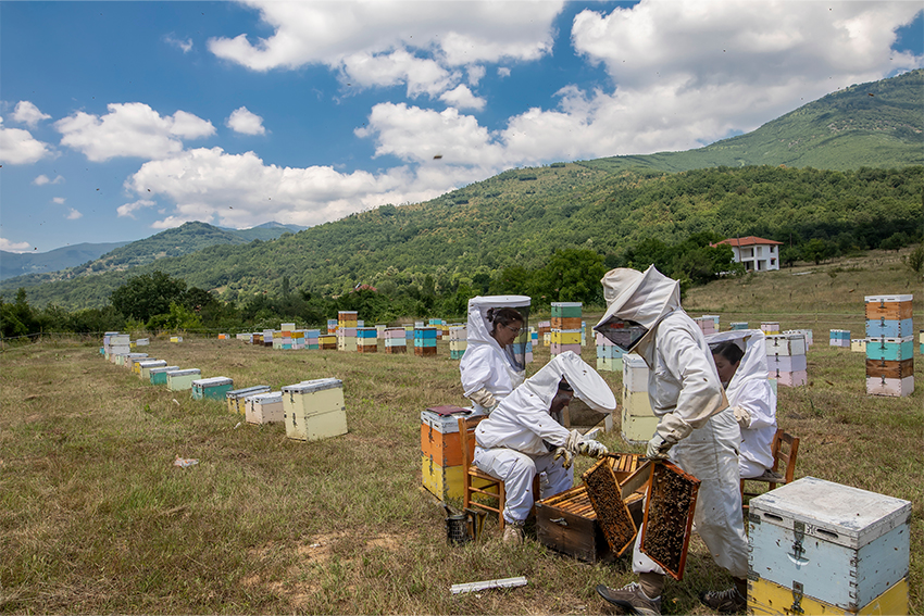 wanderimker-bienenvolk-wandern
