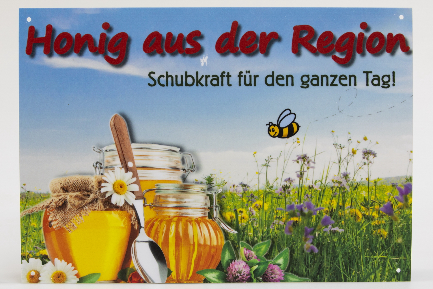 Outdoor advertising sign region large