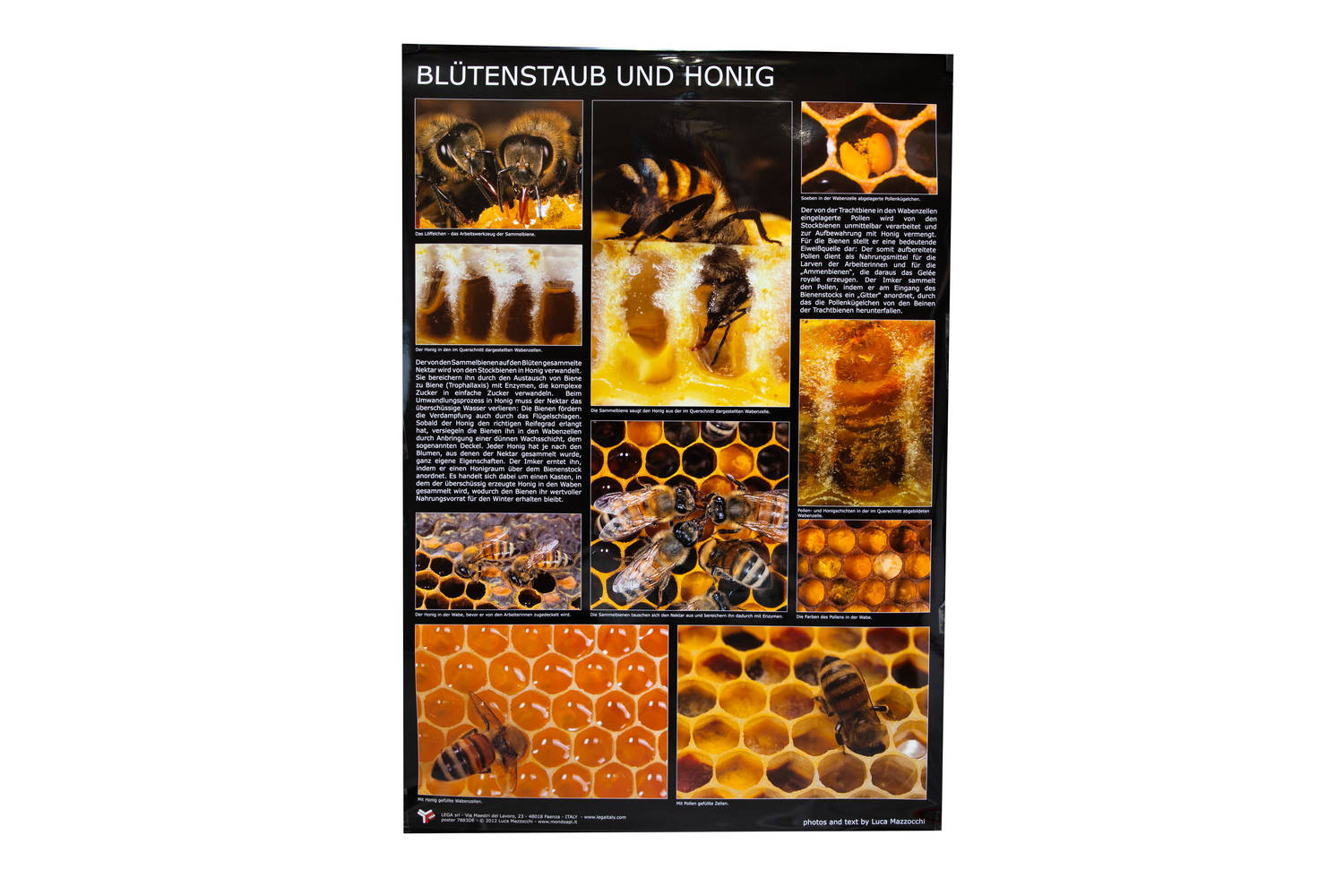 Poster Blütenstaub und Honig