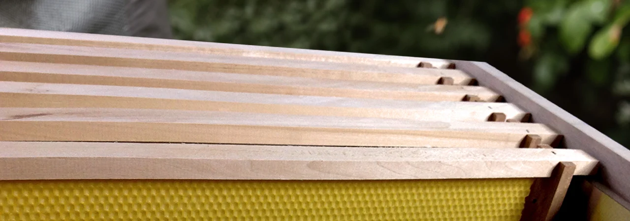 Rähmchen Mittelwände