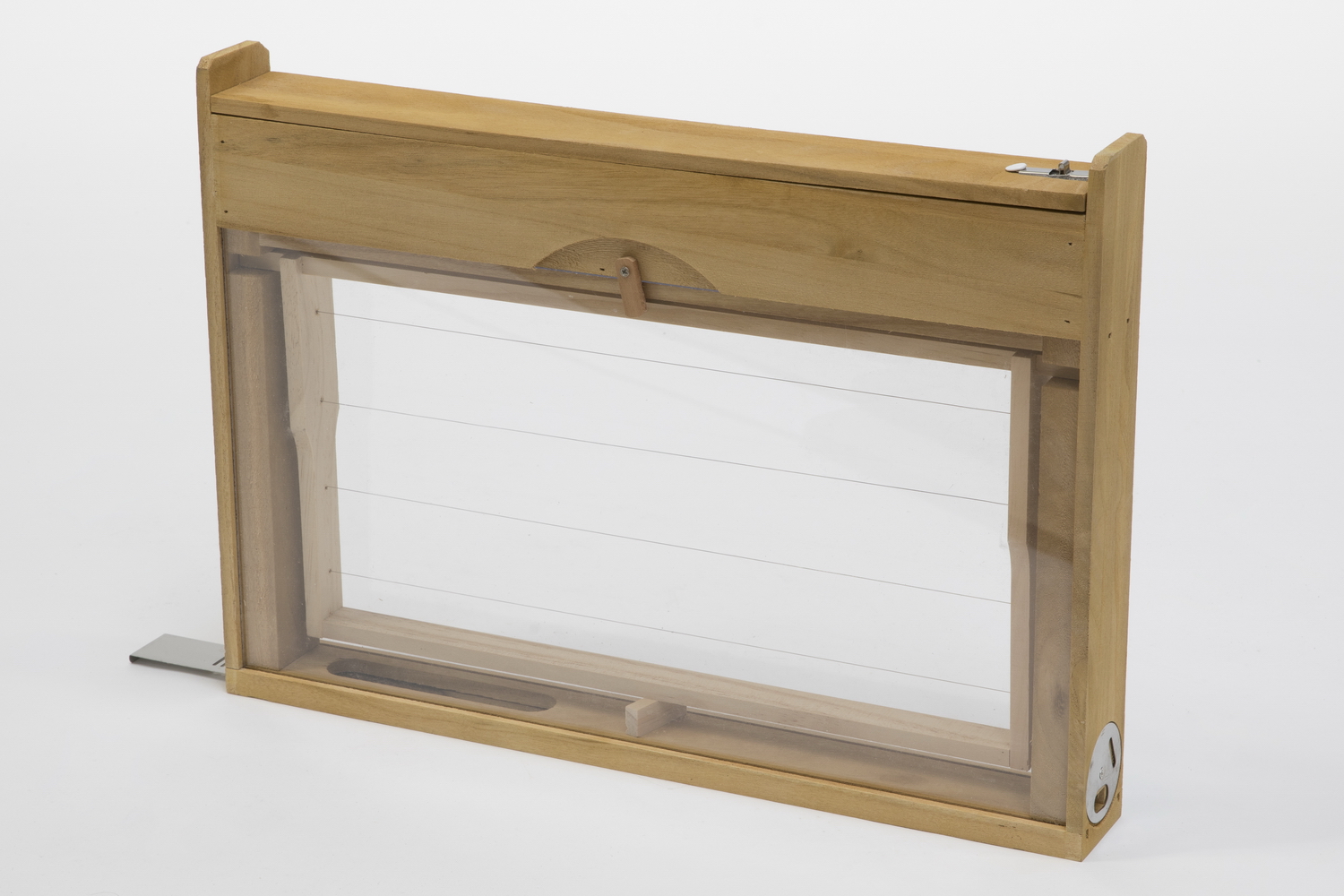 Ganzwaben EWK Zander