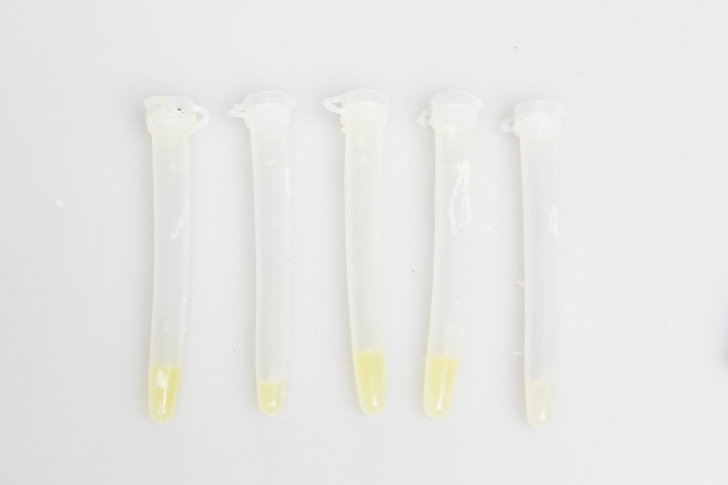 Swarm Catch Schwarmlockmittel