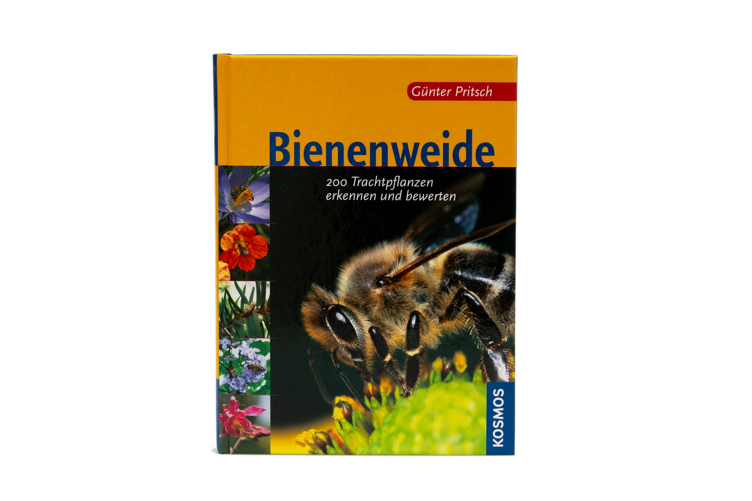 Buch: Pritsch, Die Bienenweide