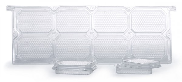 Bieno®Pac Wabenhonig-Rähmchen Set Zander